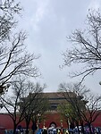 IMG_9994