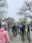 IMG_9995