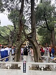 IMG_0049