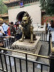 IMG_0050