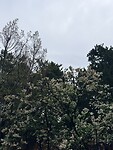 IMG_0053