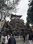 IMG_0056