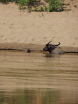 IMG_3238