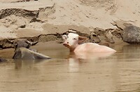 IMG_3240