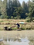 IMG_0963