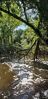 20200620_103745