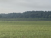 7B592805-156D-4113-9DB9-E6C26592CBA5