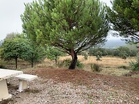 96BBDF24-CDAA-44F6-BA3B-534647B9A4AA