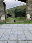 6F729617-B9BD-4C96-8690-74528B67ED9A