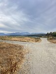IMG_0375