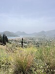 IMG_0704