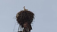 IMG_20220617_113753584