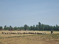 IMG-20220617-WA0000