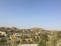 IMG_0211