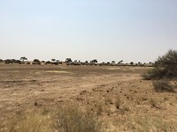 IMG_0238