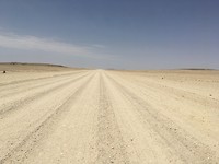 IMG_0309
