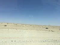 IMG_0318