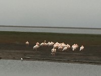 IMG_3129