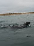IMG_3135