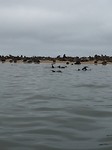 IMG_3147