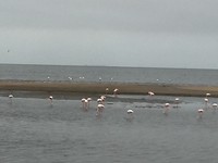 IMG_3161