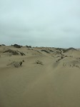 IMG_3170