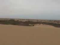 IMG_3179