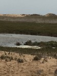 IMG_3189
