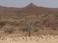 IMG_3337