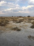 IMG_3414