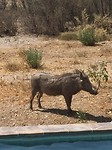 IMG_3481