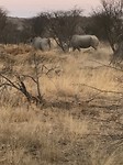 IMG_1523