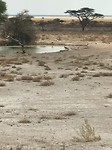 IMG_1535