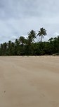 View on Mission Beach