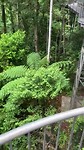 Skywalk