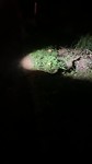 Nacht wandeling met Python 🐍