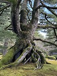 IMG_5619