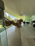 IMG_5642
