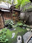 IMG_5557