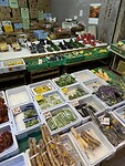 IMG_5497