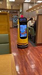 Robot Kelly