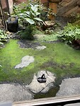 IMG_3681