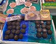 IMG_4157