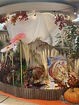 IMG_4151