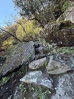 IMG_0766