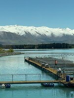 IMG_0837