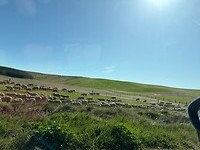 IMG_0783