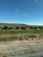 IMG_0818