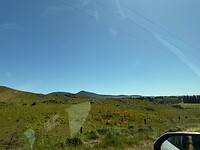 IMG_1164