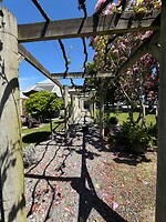 IMG_1423